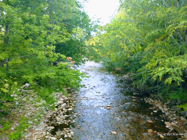 North Woodstock