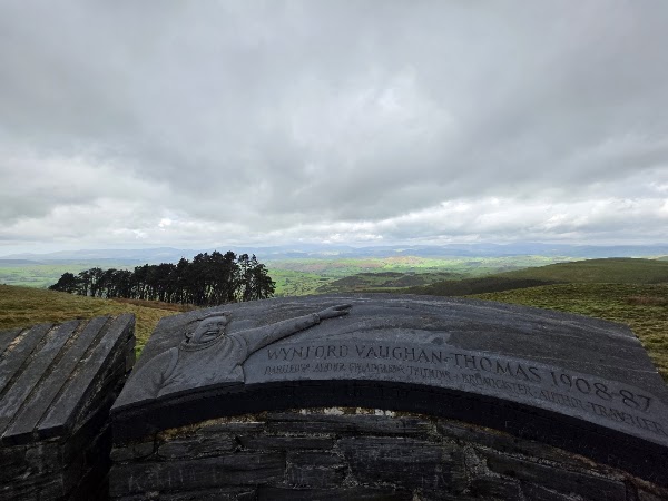 Cadair viewpoint