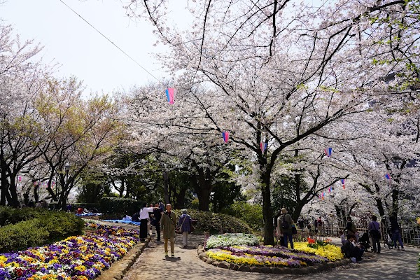 Asukayama Park 5
