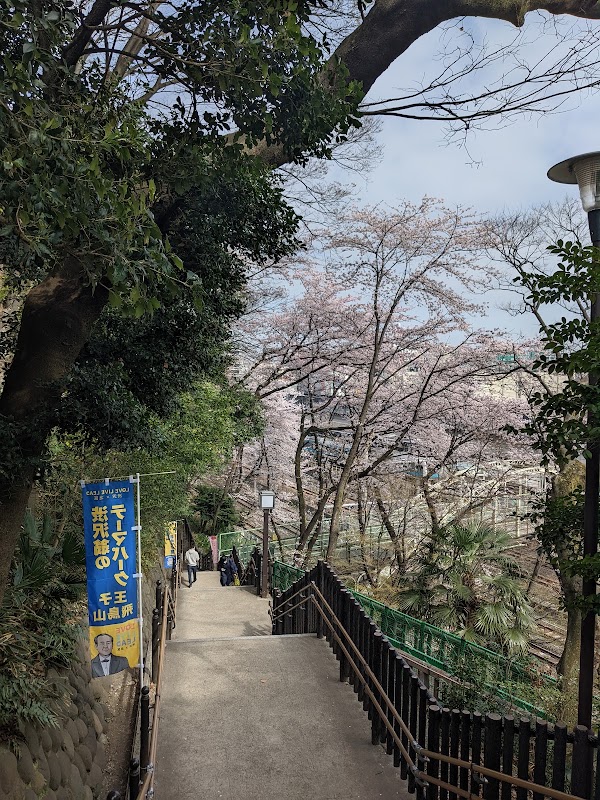 Asukayama Park 4