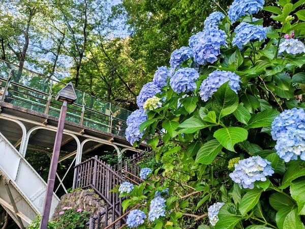Asukayama Park 3
