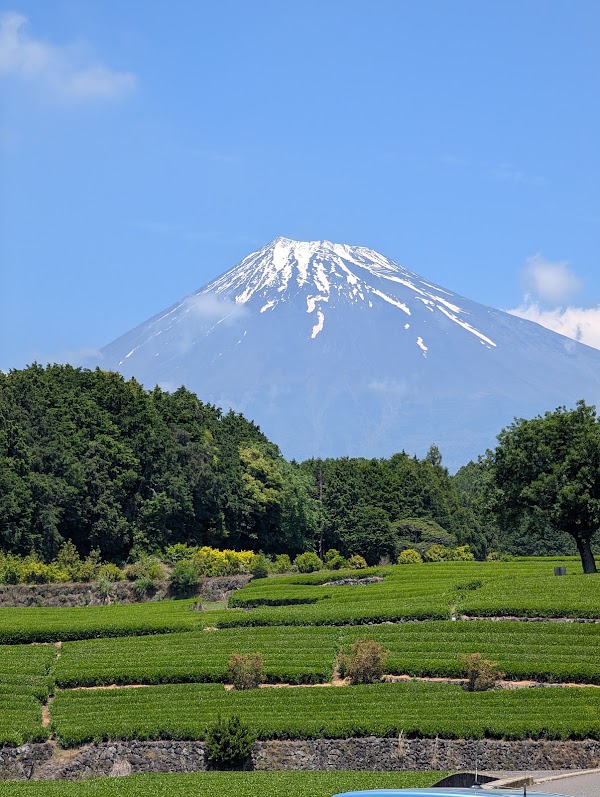 Obuchi Sasaba 5