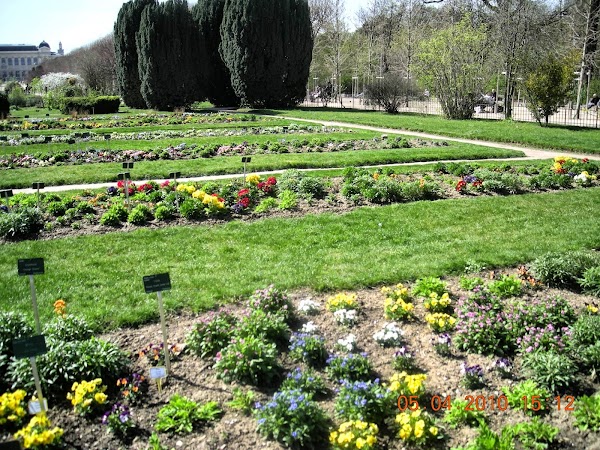 Jardin des Plantes