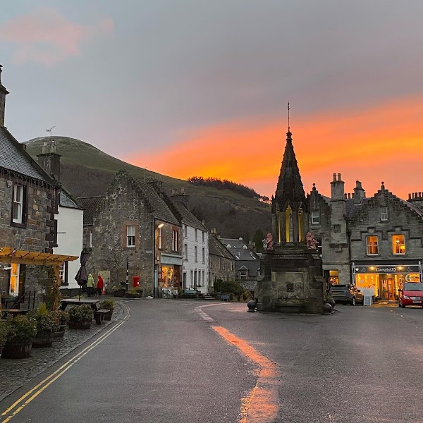 Falkland 5