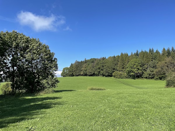 Abtsteinach