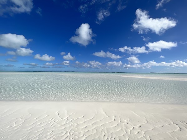 The Caribbean 7