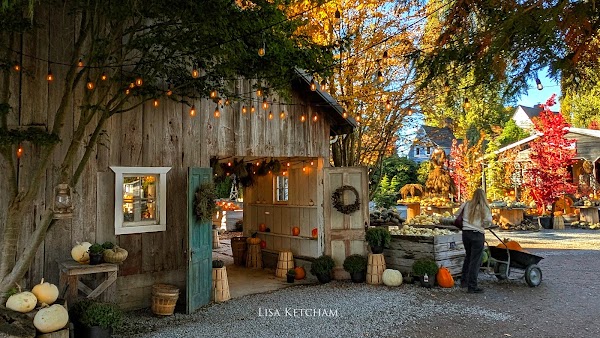 Gordon Skagit Farms