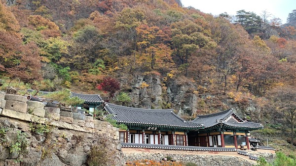 Korea Fall Foliage 🍁🍂