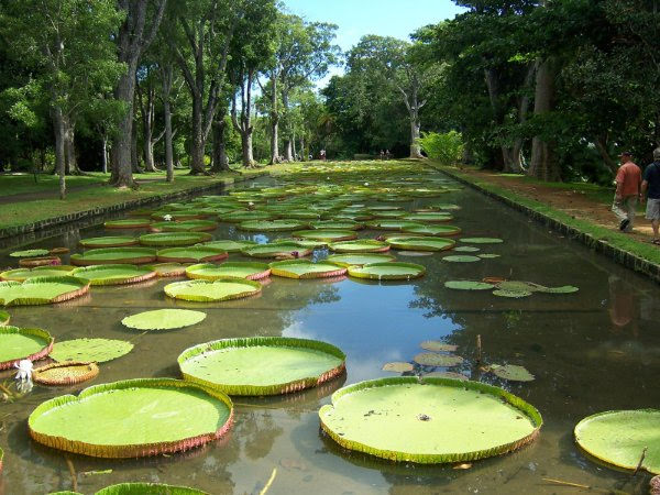 Mauritius Island