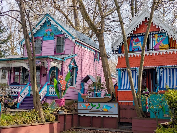 The Painted Ladies of Grimsby 4