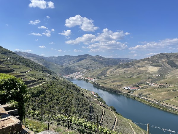 Quinta das Carvalhas