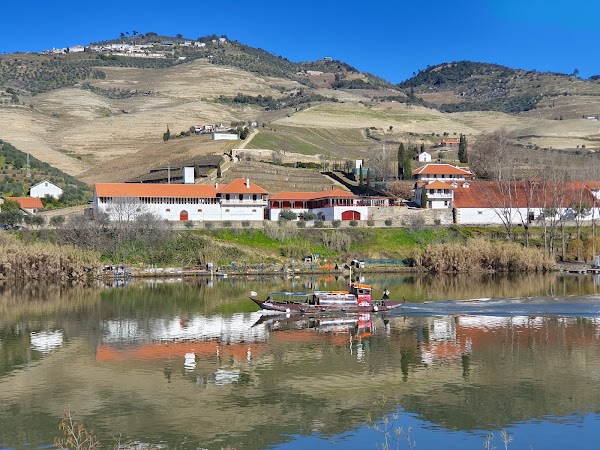 Quinta das Carvalhas 5