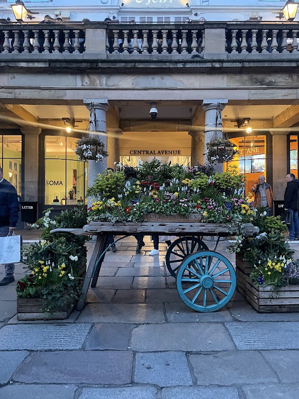 The Apple Market