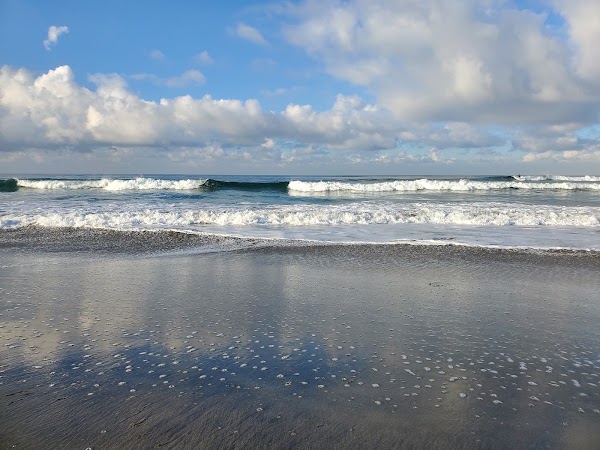Cardiff Beach