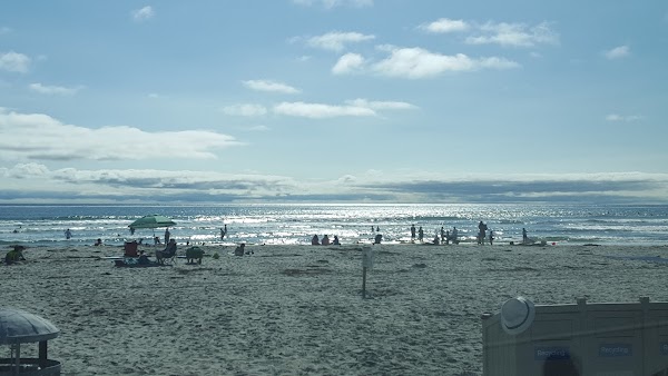 Cardiff Beach 4