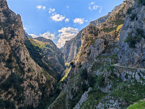 Picos de Europa National Park 5