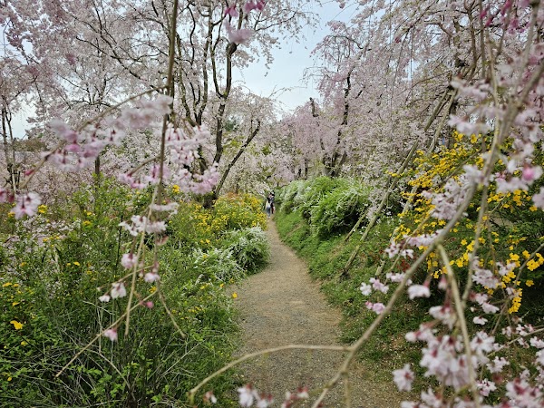 Haradani Garden 1