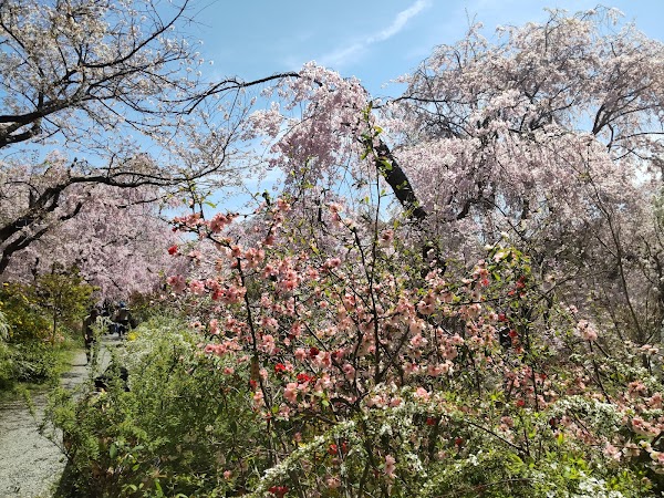 Haradani Garden 5