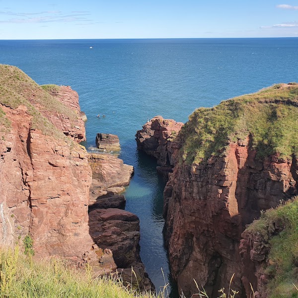 Arbroath Cliffs
