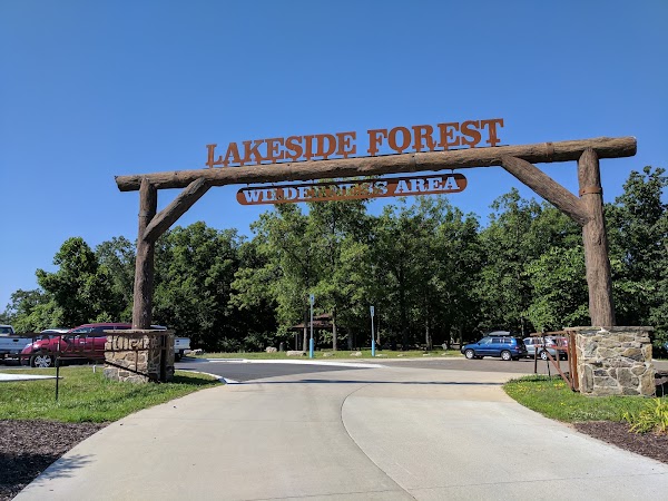 Lakeside Forest Wilderness Area 1