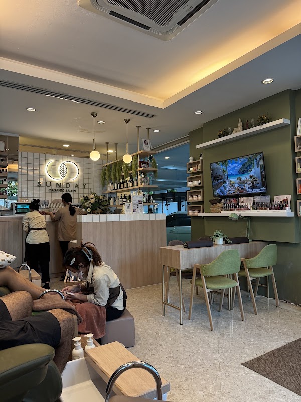 Sunday Organic Salon (SOS!)