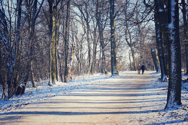 Normafa Park 4