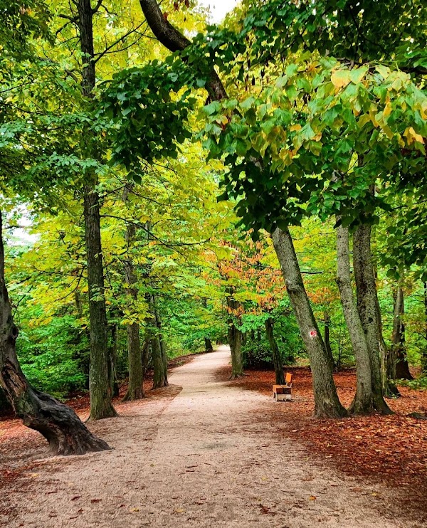 Normafa Park 3
