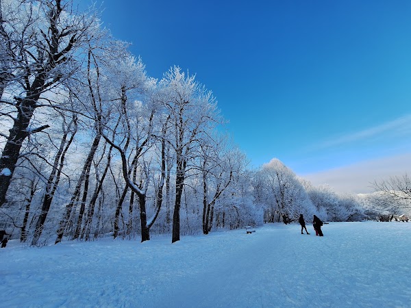 Normafa Park 2