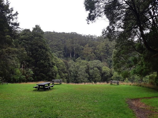Melba Gully (Parks Victoria) 3