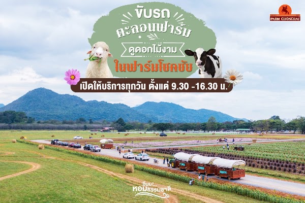 Thailand 36