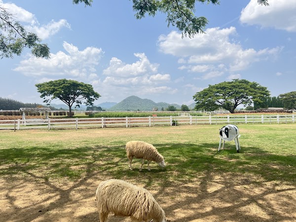 Farm Chokchai 2