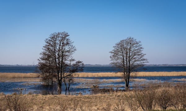Tissø