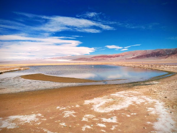 Laguna Carachi Pampa 1