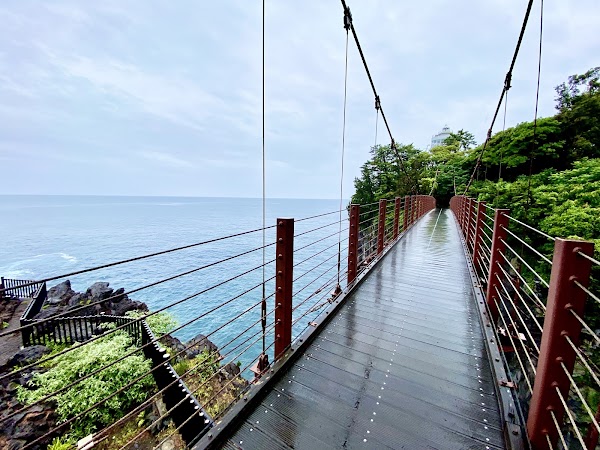 Kadowaki Suspension Bridge 5