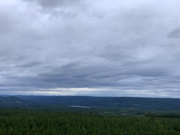 Hastasen