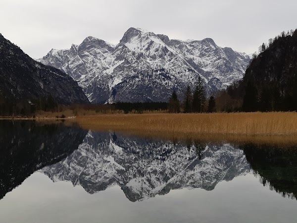Almsee