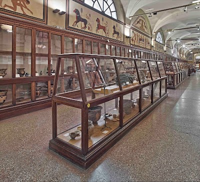 Archaeological Museum of Bologna 2