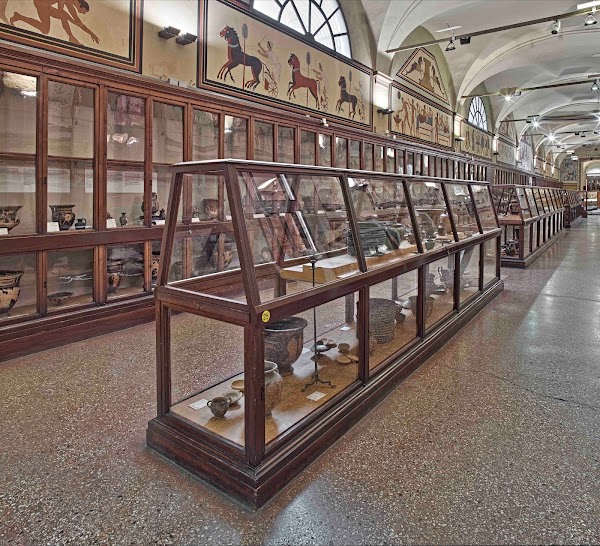 Archaeological Museum of Bologna 1