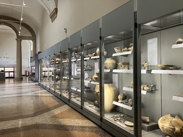 Archaeological Museum of Bologna 4