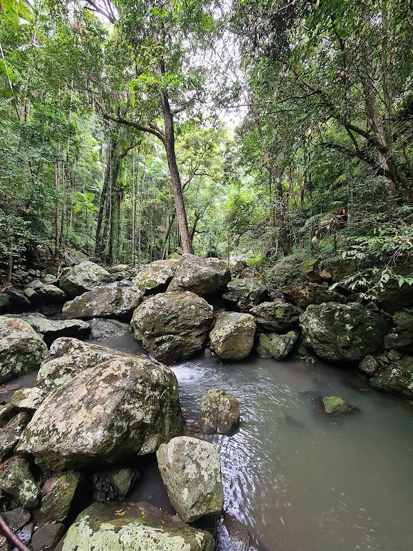 Kondalila Rockpool 2