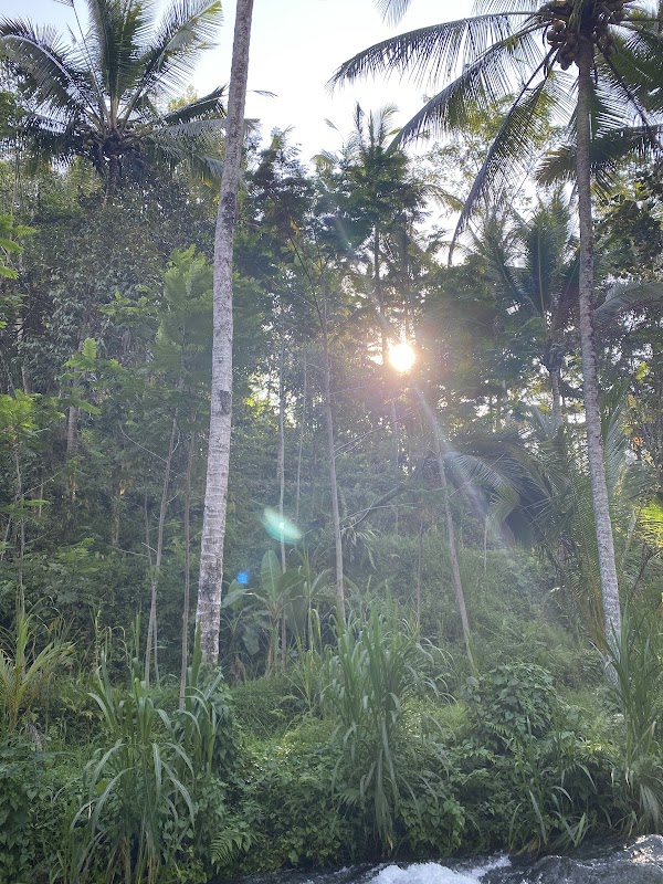 Telaga Surya 2