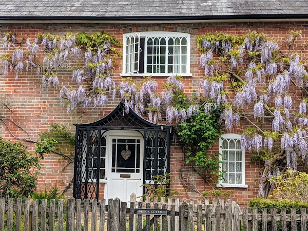 Brockenhurst 3