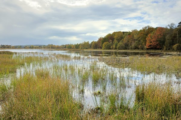 De Leersumse Plassen
