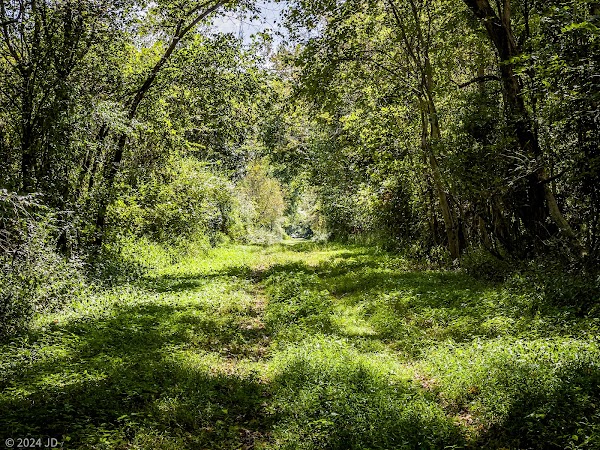 McClintic Wildlife Management Area 2
