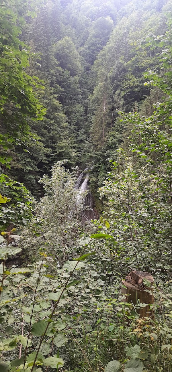 Berglistüber Wasserfall 4