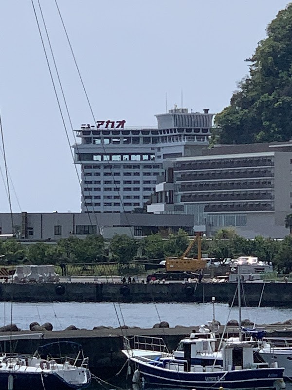Hotel New Akao