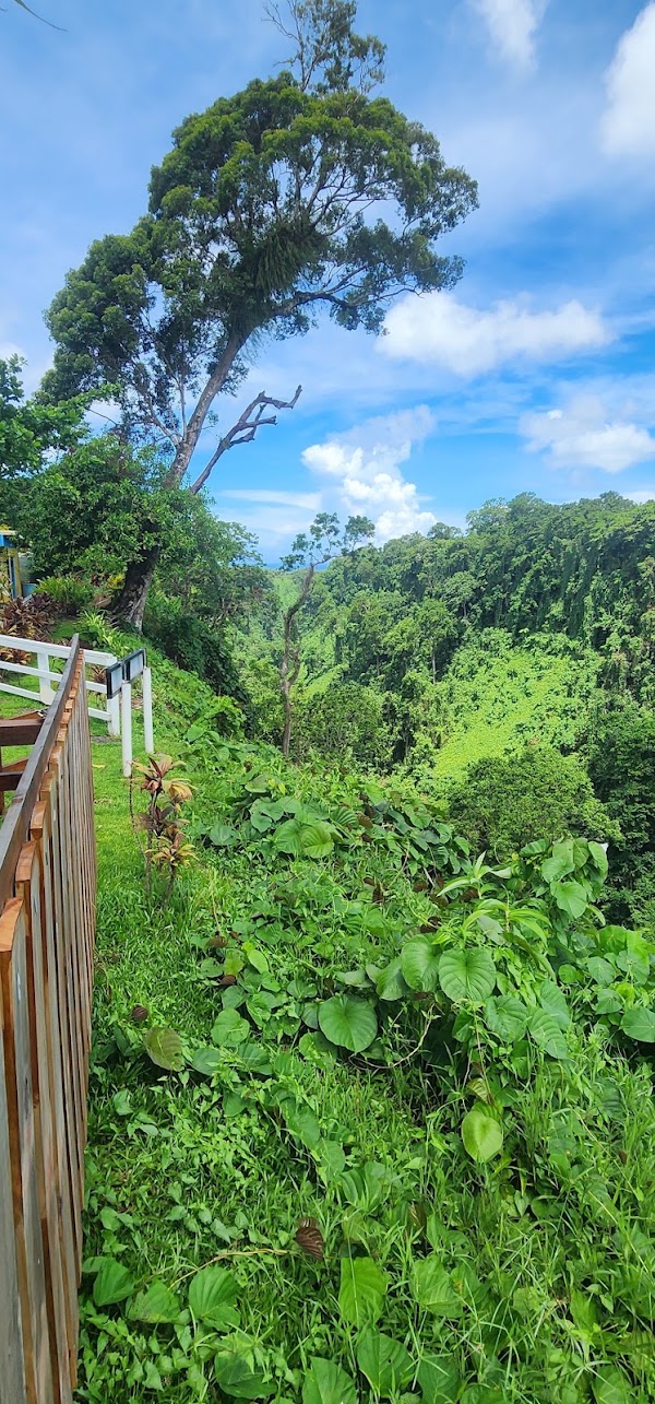 Sopo'aga Falls Viewpoint 4