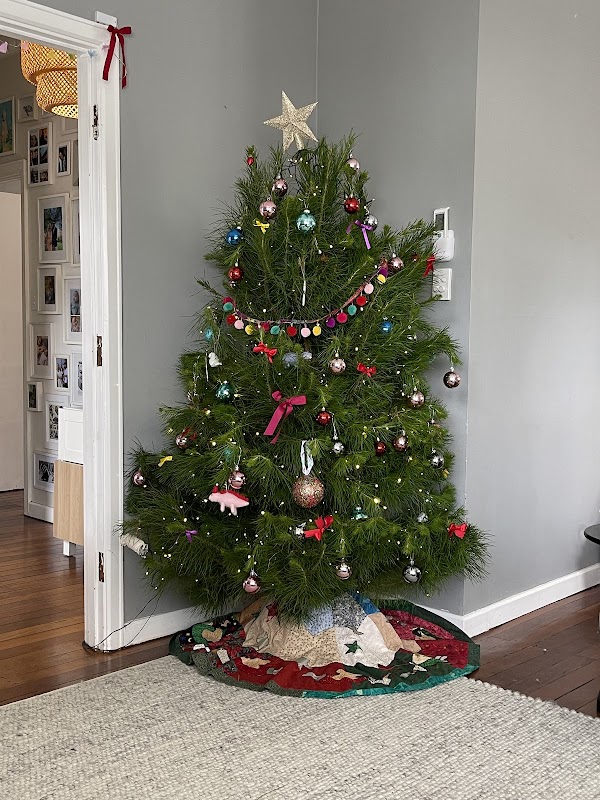 Wilbury's Traditional Christmas Trees 1
