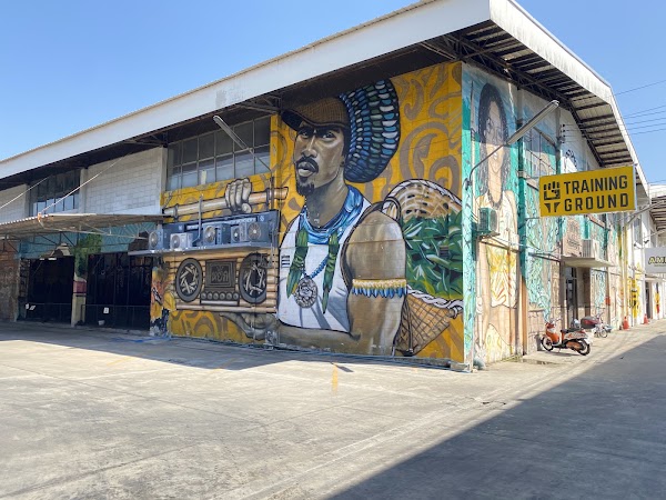 Training Ground Gym & Wellness Hub 4