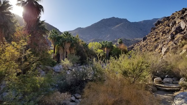 Andreas Canyon Trailhead 1